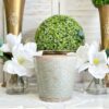 Somerset Thyme Ceramic Pot